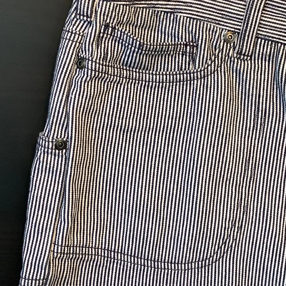 Patagonia Railroad Stripe Organic Cotton Button Down Front Skirt